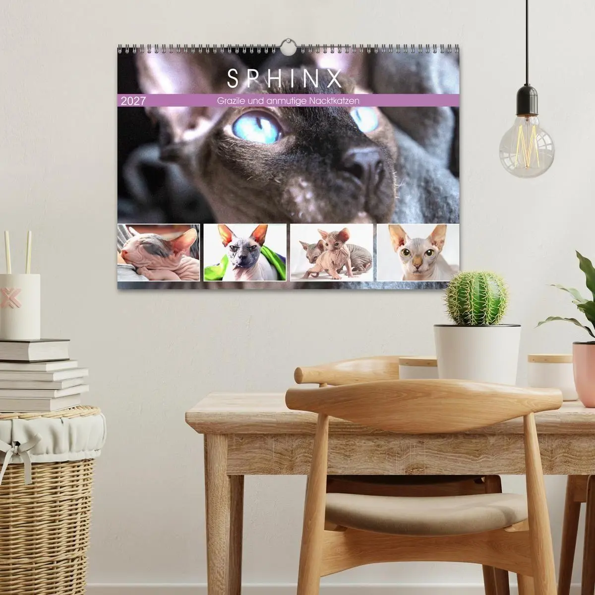 Bild: 9783569496965 | Sphinx. Grazile und anmutige Nacktkatzen (Wandkalender 2027 DIN A3...