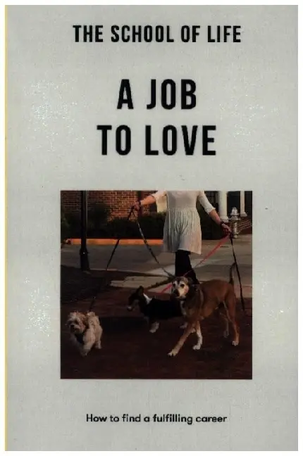 Cover: 9781915087065 | A Job to Love | How to find a fulfilling career | The School | Buch