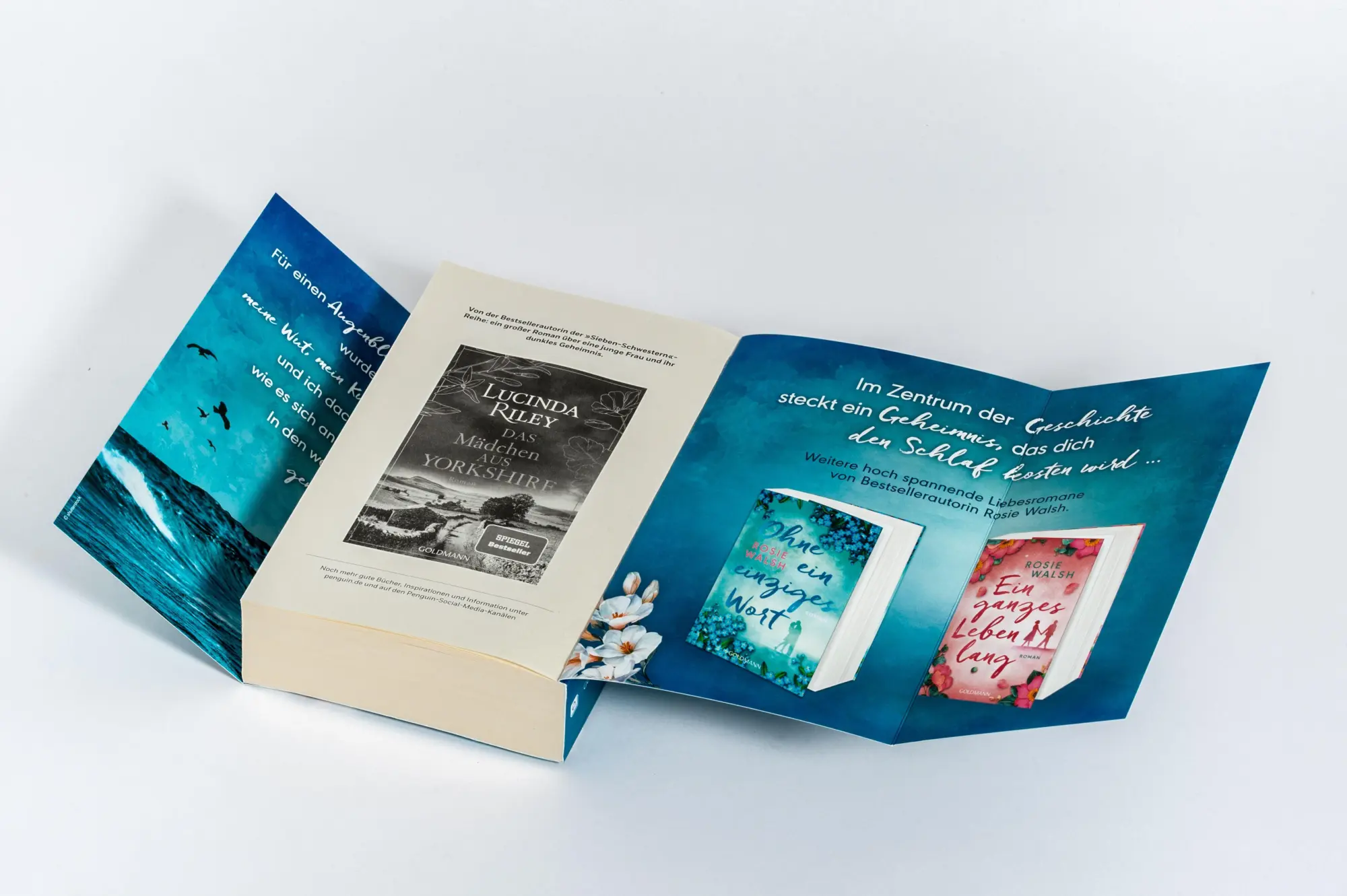 Bild: 9783442497065 | Du musst mich vergessen | Rosie Walsh | Taschenbuch | 496 S. | Deutsch