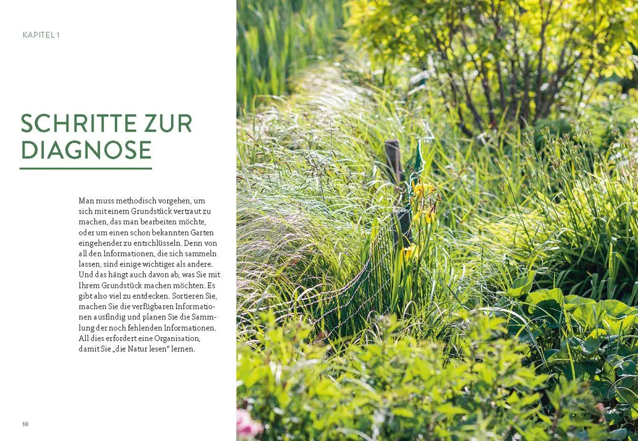 Bild: 9783818627065 | Pflanzengeflüster | Jean-Michel Groult | Taschenbuch | 120 S. | 2026