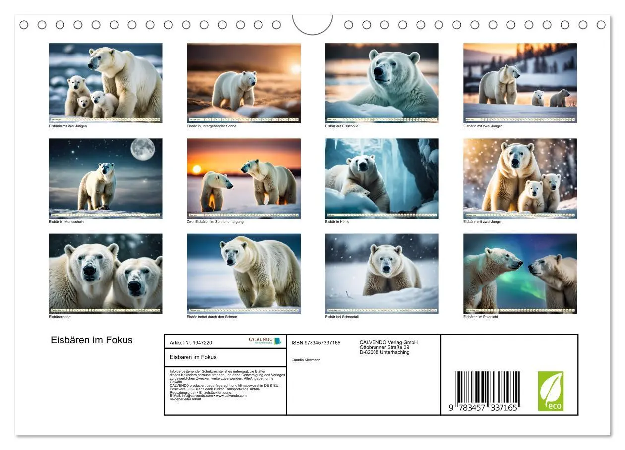 Bild: 9783457337165 | Eisbären im Fokus (Wandkalender 2026 DIN A4 quer), CALVENDO...