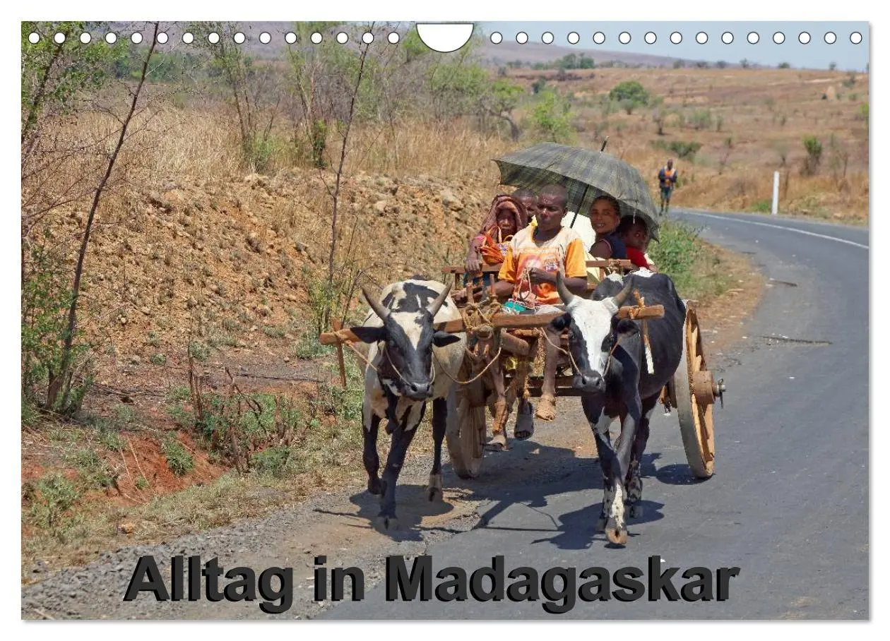 Cover: 9783457957165 | Alltag in Madagaskar (Wandkalender 2026 DIN A4 quer), CALVENDO...