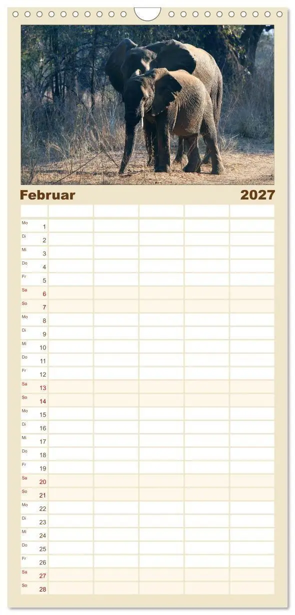 Bild: 9783594337165 | Familienplaner 2027 - begegnungen - elefanten im südlichen afrika...