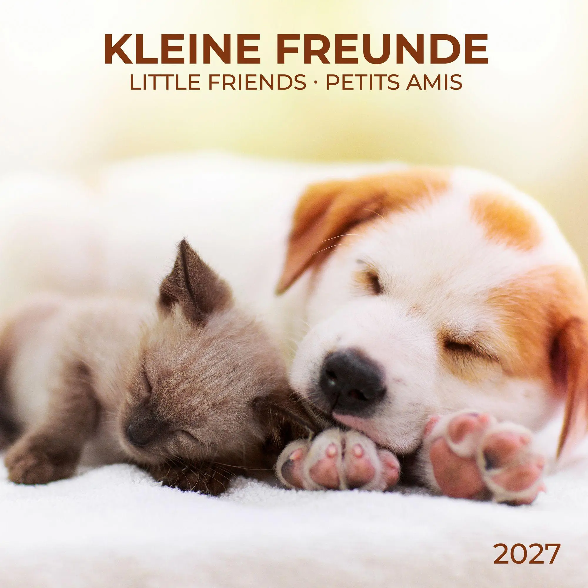 Cover: 9783959297165 | Kleine Freunde / Little Friends 2027 | Kalender 2027 | Kalender | 2027