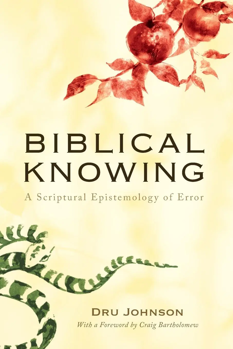 Cover: 9781610977265 | Biblical Knowing | Dru Johnson | Taschenbuch | Englisch | 2009