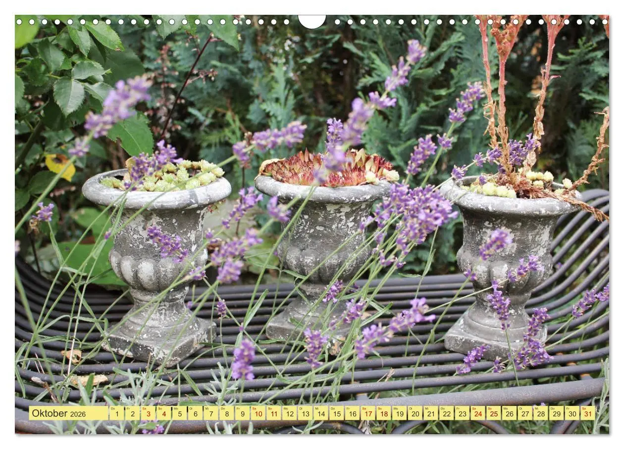 Bild: 9783457877265 | Gartenträumerei (Wandkalender 2026 DIN A3 quer), CALVENDO...
