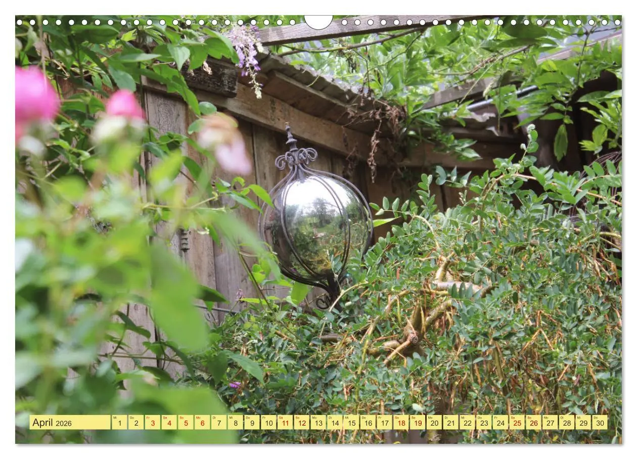 Bild: 9783457877265 | Gartenträumerei (Wandkalender 2026 DIN A3 quer), CALVENDO...