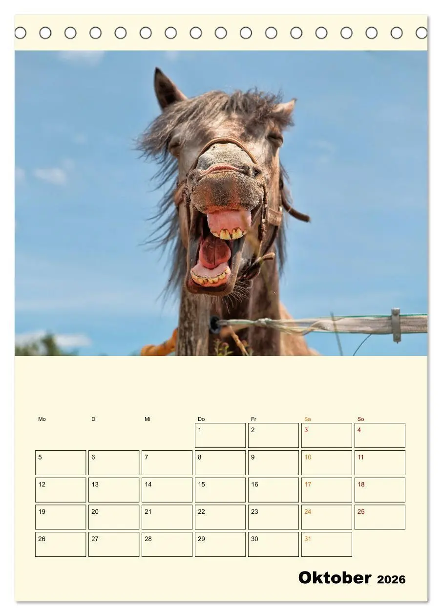 Bild: 9783516347265 | Lustig verrückt - der Tierkalender (Tischkalender 2026 DIN A5...