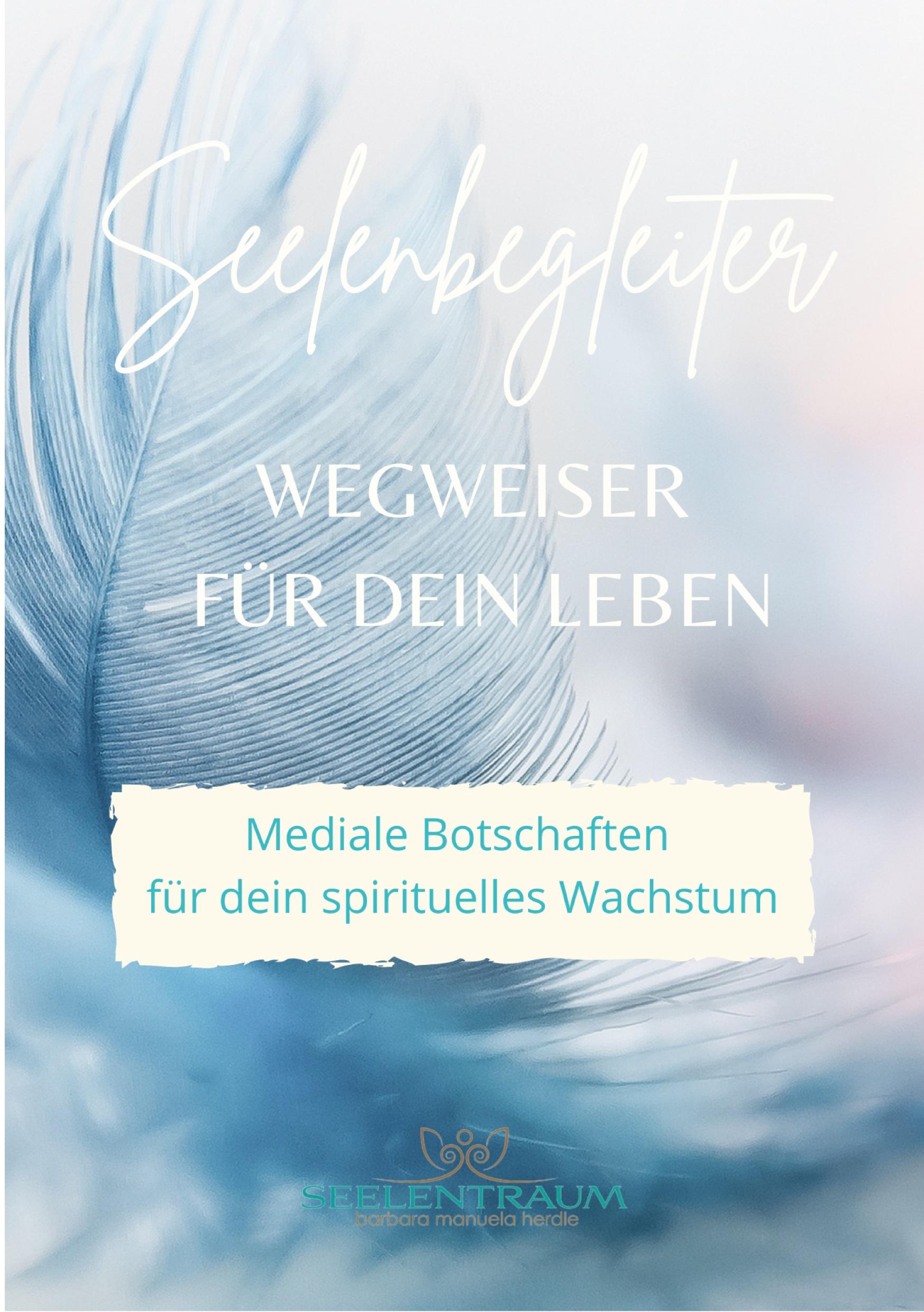 Cover: 9783756237265 | Seelenbegleiter | Wegweiser für dein Leben | Barbara Manuela Herdle