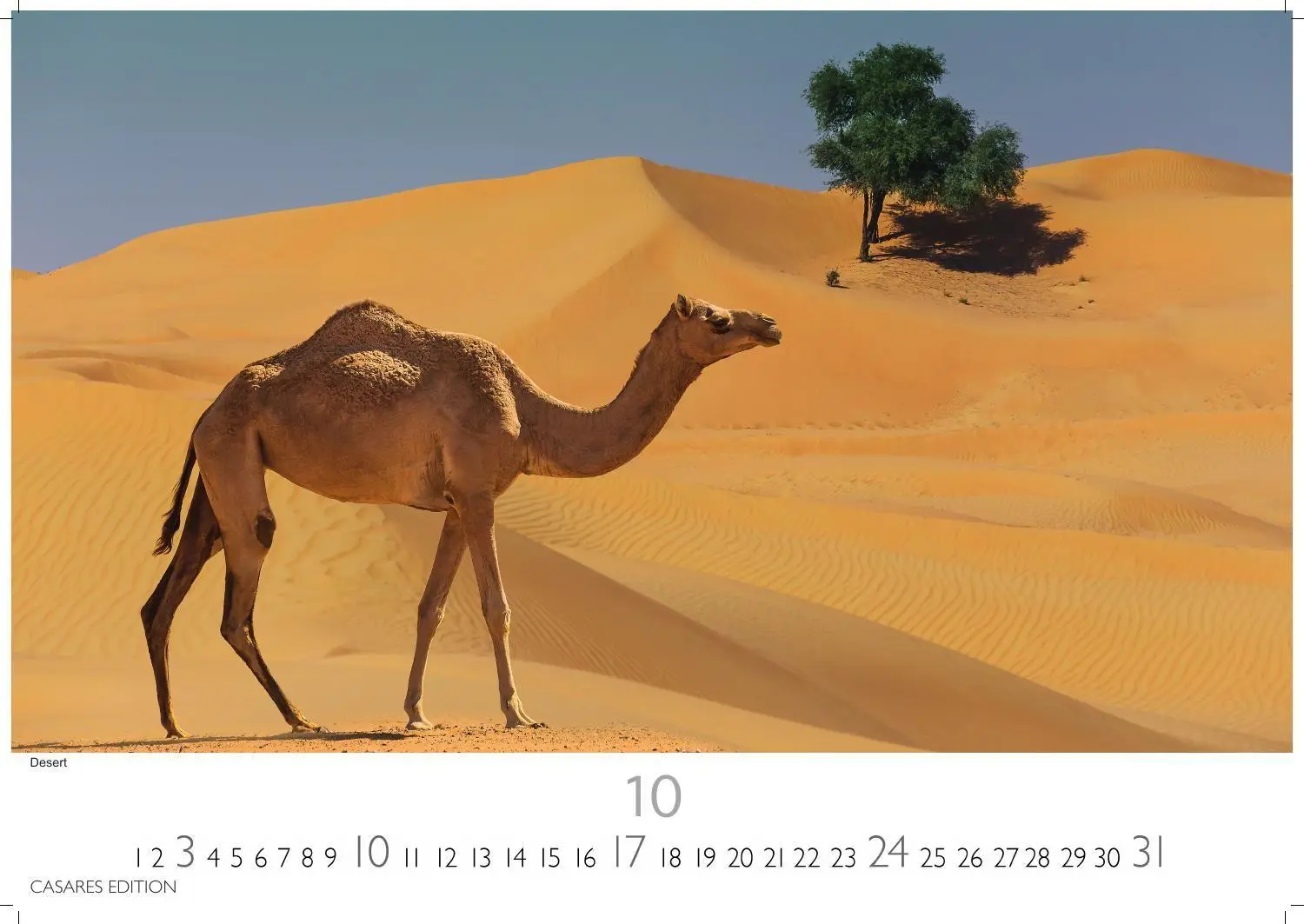Bild: 9781835247365 | Dubai/Abu Dhabi Kalender 2027 - Wandkalender Fotokalender Orient...