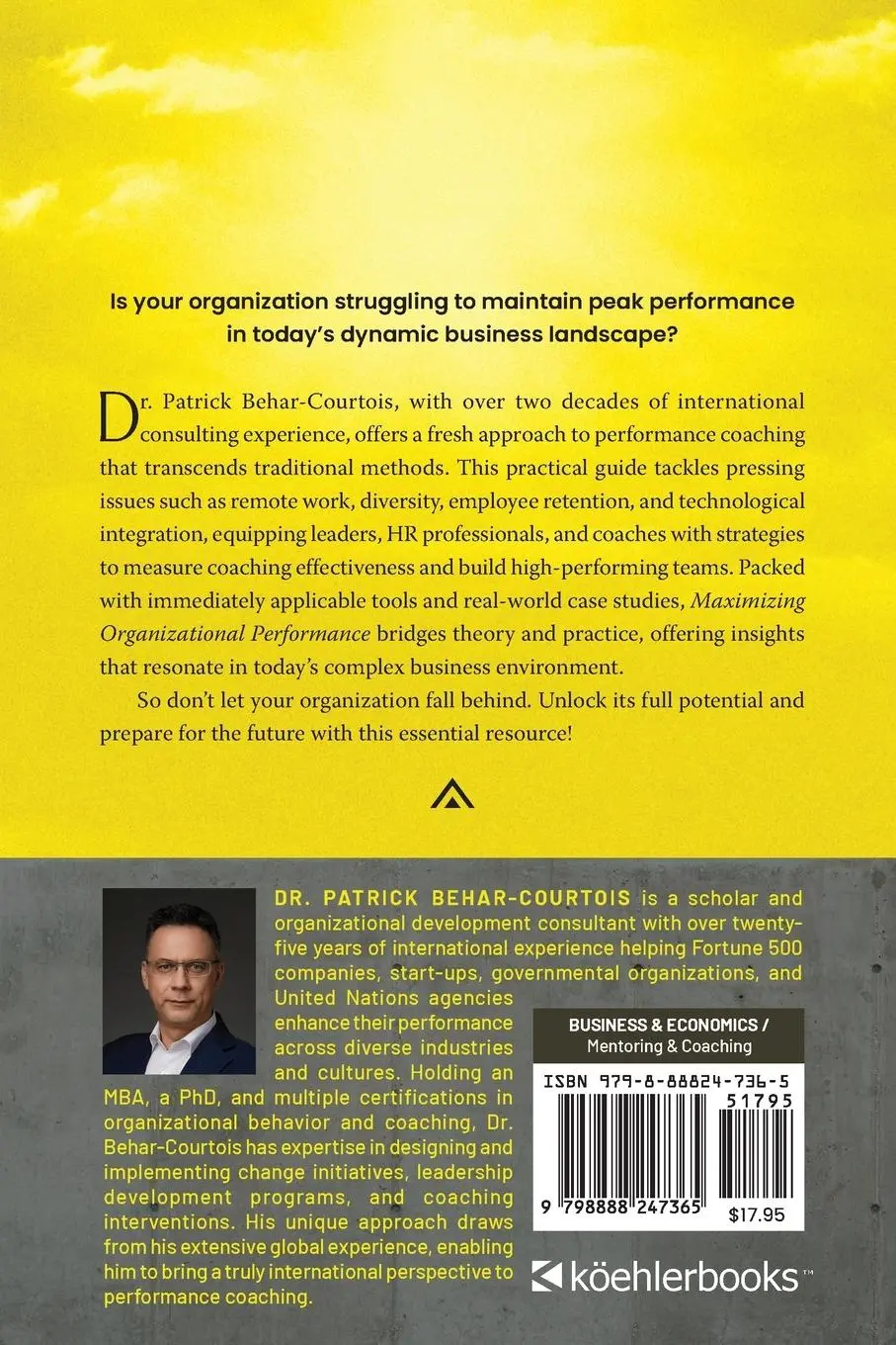 Rückseite: 9798888247365 | Maximizing Organizational Performance | Patrick Behar-Courtois | Buch