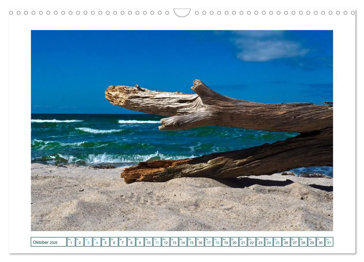 Bild: 9783457307465 | Der Weststrand am Darß (Wandkalender 2026 DIN A3 quer), CALVENDO...
