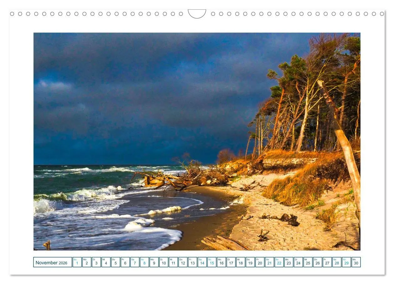 Bild: 9783457307465 | Der Weststrand am Darß (Wandkalender 2026 DIN A3 quer), CALVENDO...