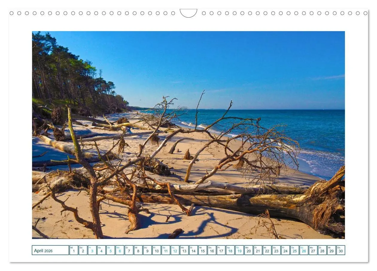 Bild: 9783457307465 | Der Weststrand am Darß (Wandkalender 2026 DIN A3 quer), CALVENDO...