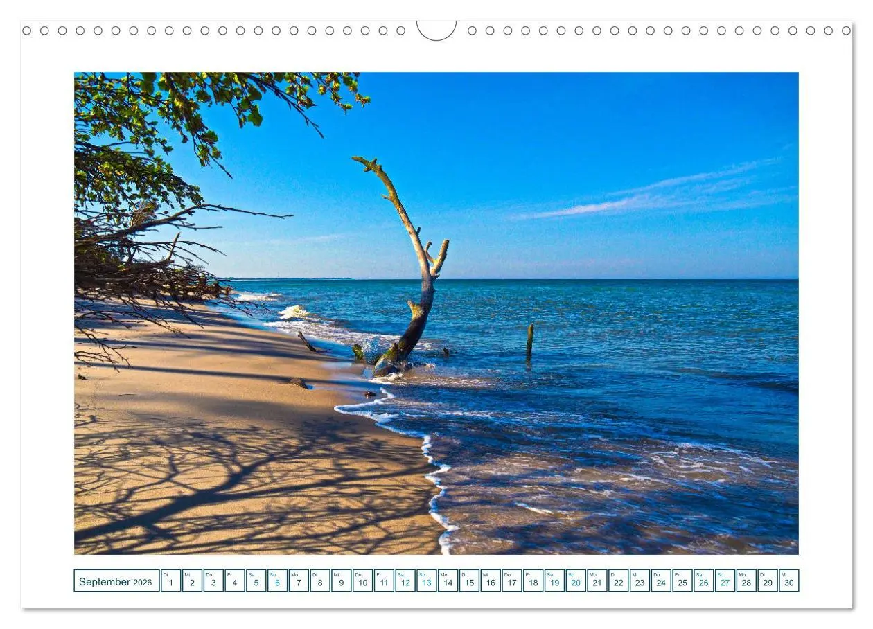 Bild: 9783457307465 | Der Weststrand am Darß (Wandkalender 2026 DIN A3 quer), CALVENDO...