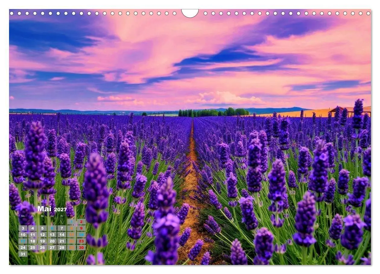 Bild: 9783516877465 | Lavendel für deine Sinne (Wandkalender 2027 DIN A3 quer), CALVENDO...