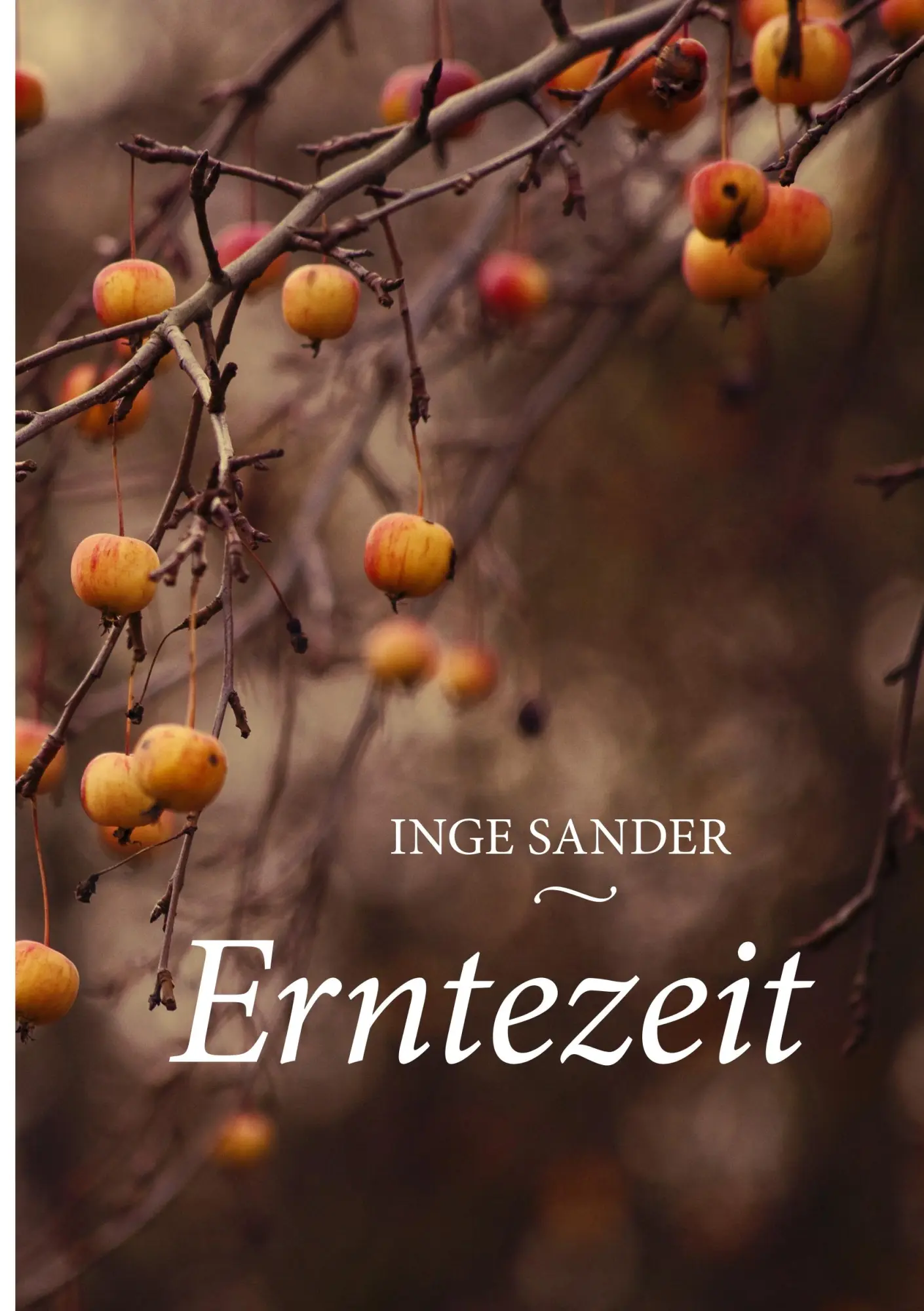 Cover: 9783750417465 | Erntezeit | Inge Sander | Taschenbuch | 144 S. | Deutsch | 2019