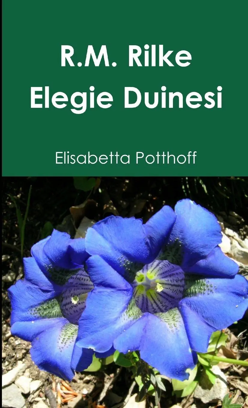 Cover: 9781445787565 | Rainer Maria Rilke - Elegie Duinesi | Elisabetta Potthoff | Buch