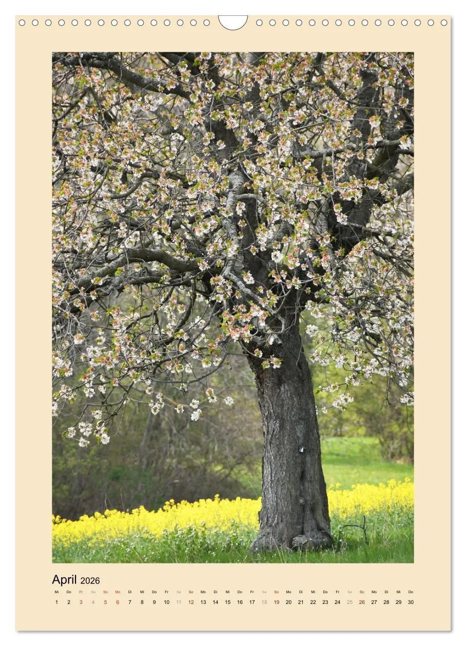 Bild: 9783516487565 | Jahreszeiten (Wandkalender 2026 DIN A3 hoch), CALVENDO Monatskalender