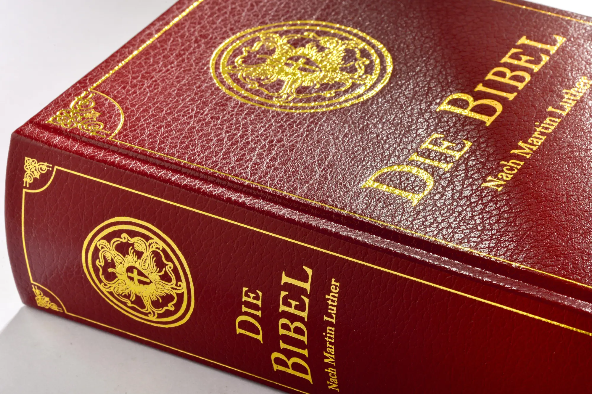 Bild: 9783730607565 | Die Bibel (Geschenkausgabe, Cabra-Leder) | Martin Luther | Buch | 2019