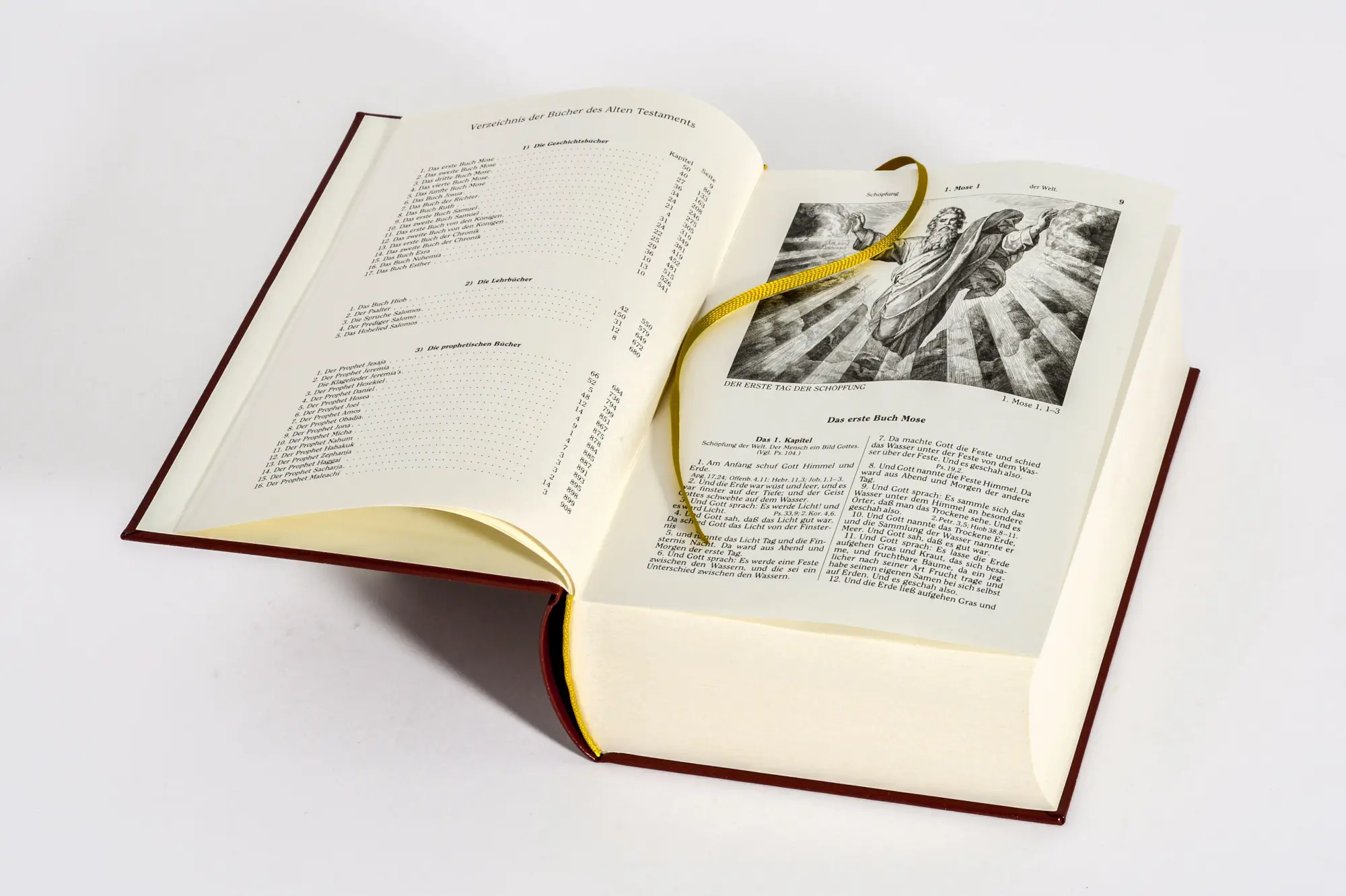 Bild: 9783730607565 | Die Bibel (Geschenkausgabe, Cabra-Leder) | Martin Luther | Buch | 2019