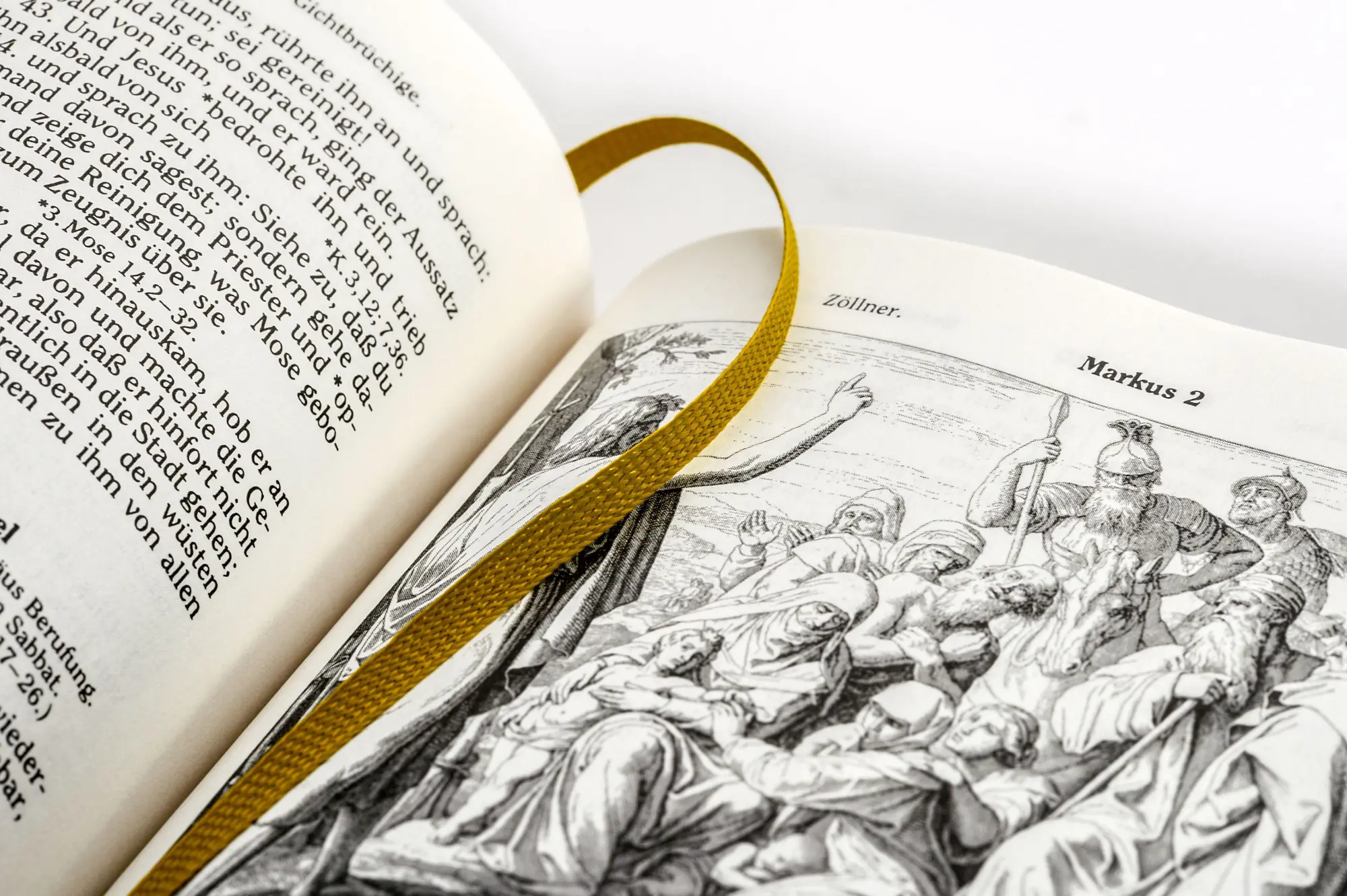 Bild: 9783730607565 | Die Bibel (Geschenkausgabe, Cabra-Leder) | Martin Luther | Buch | 2019