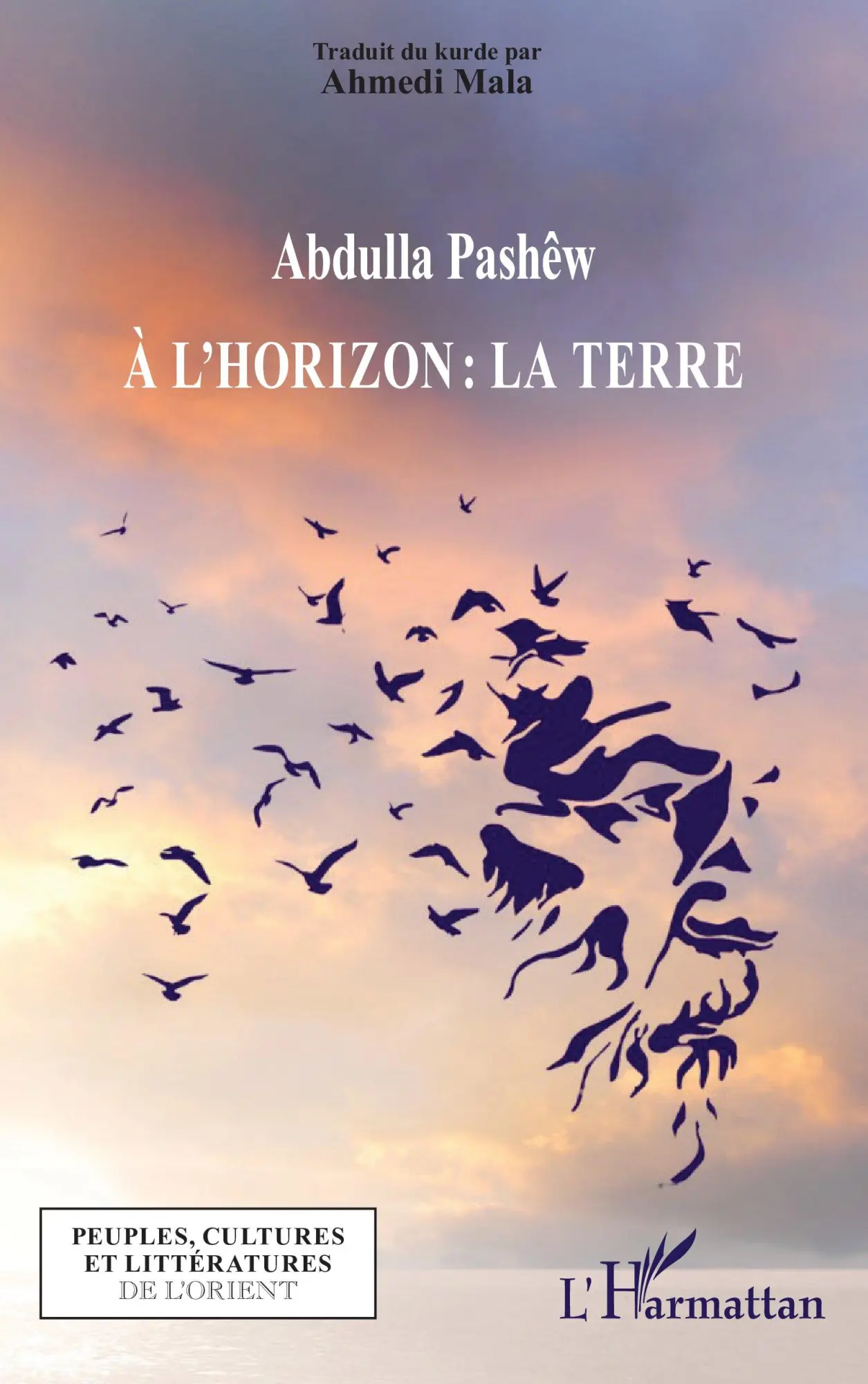 Cover: 9782336537665 | À l'horizon : la Terre | Abdullah Pashêw | Taschenbuch | Französisch