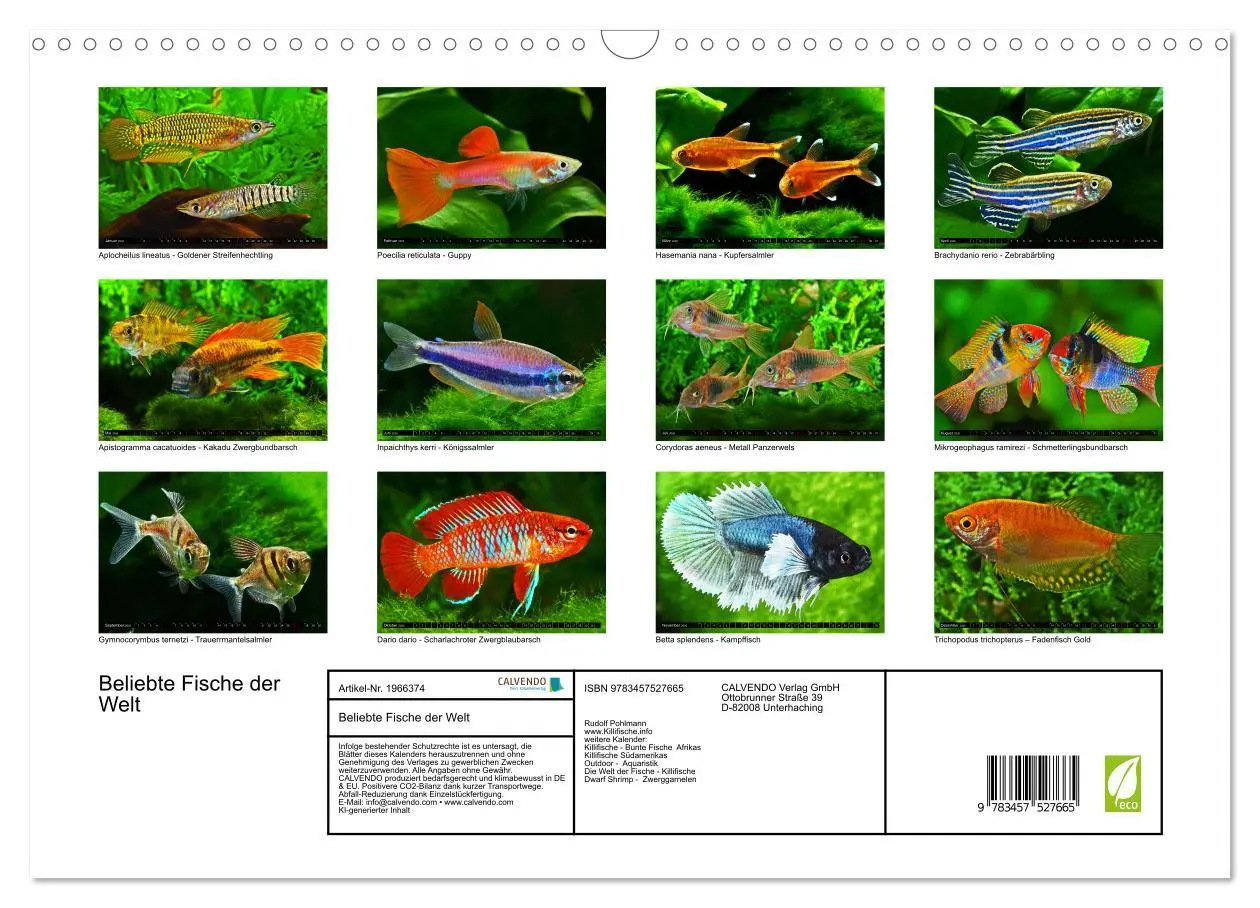 Bild: 9783457527665 | Beliebte Fische der Welt (Wandkalender 2026 DIN A3 quer), CALVENDO...