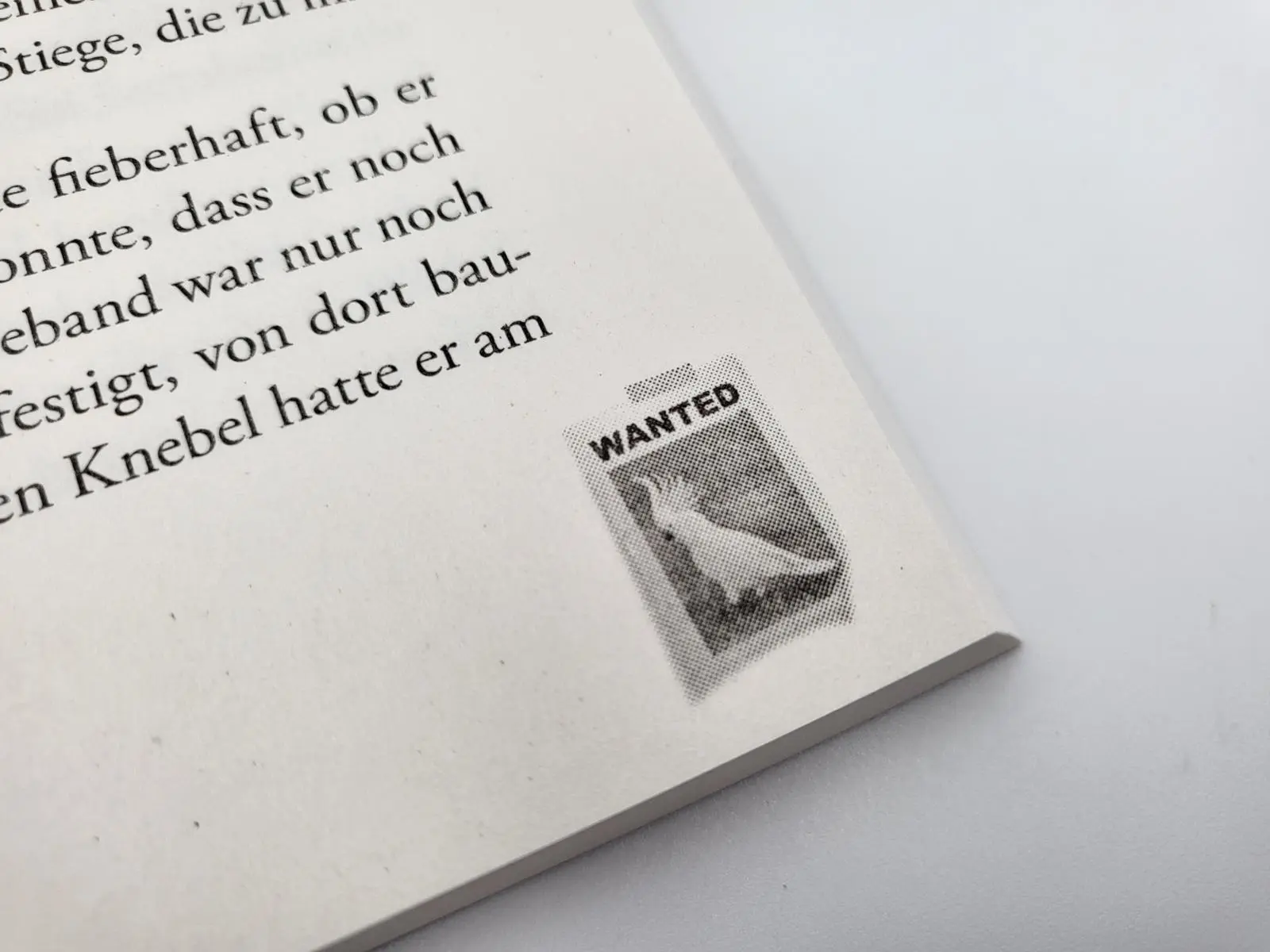 Bild: 9783492317665 | Sherlock ist ausgeflogen | Jürgen Seibold | Taschenbuch | 304 S.
