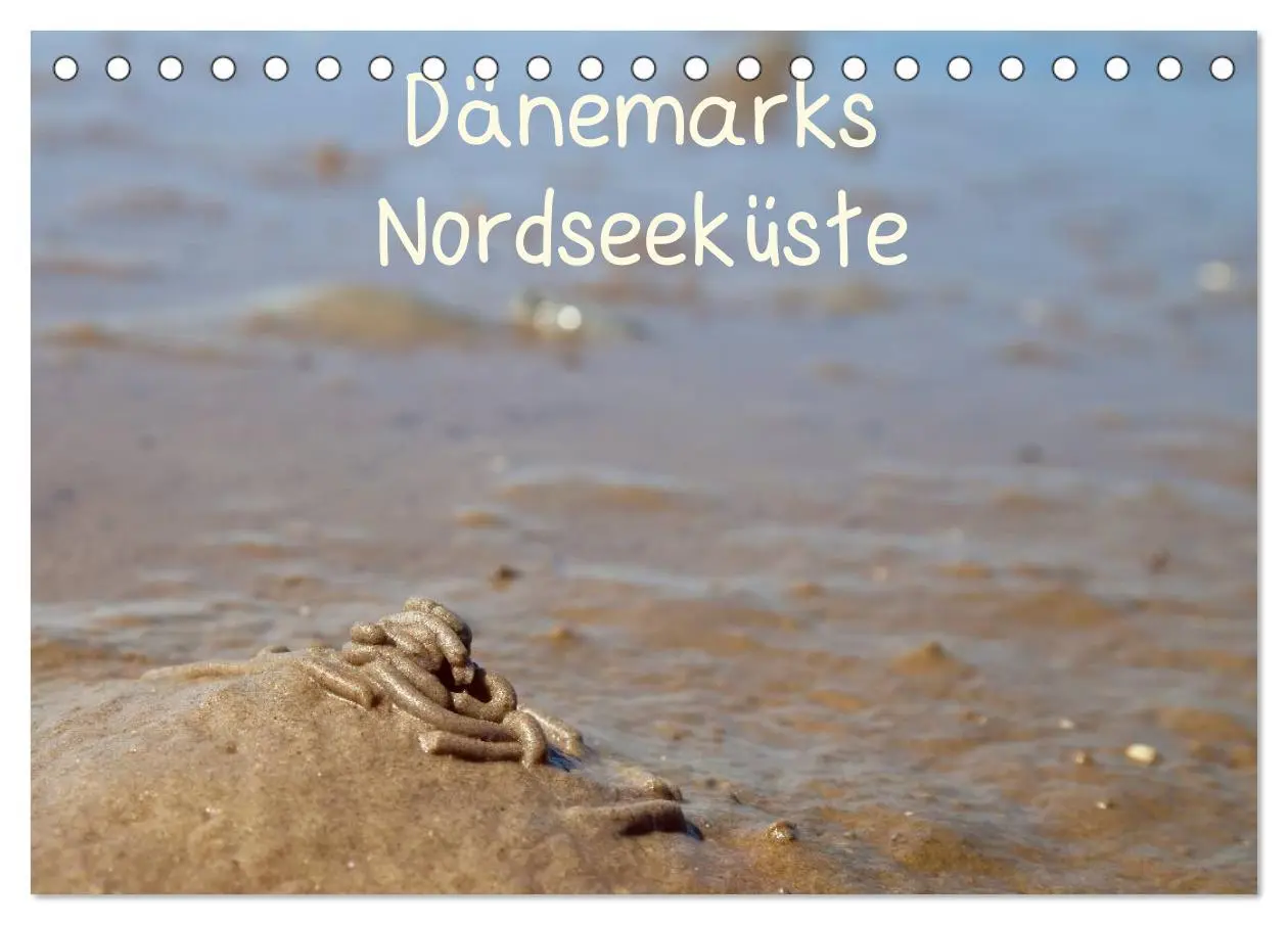 Cover: 9783516167665 | Dänemarks Nordseeküste (Tischkalender 2026 DIN A5 quer), CALVENDO...