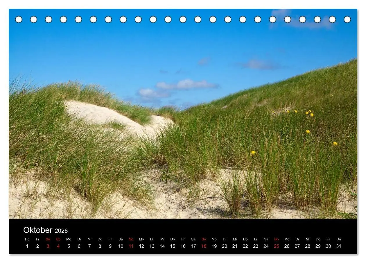 Bild: 9783516167665 | Dänemarks Nordseeküste (Tischkalender 2026 DIN A5 quer), CALVENDO...