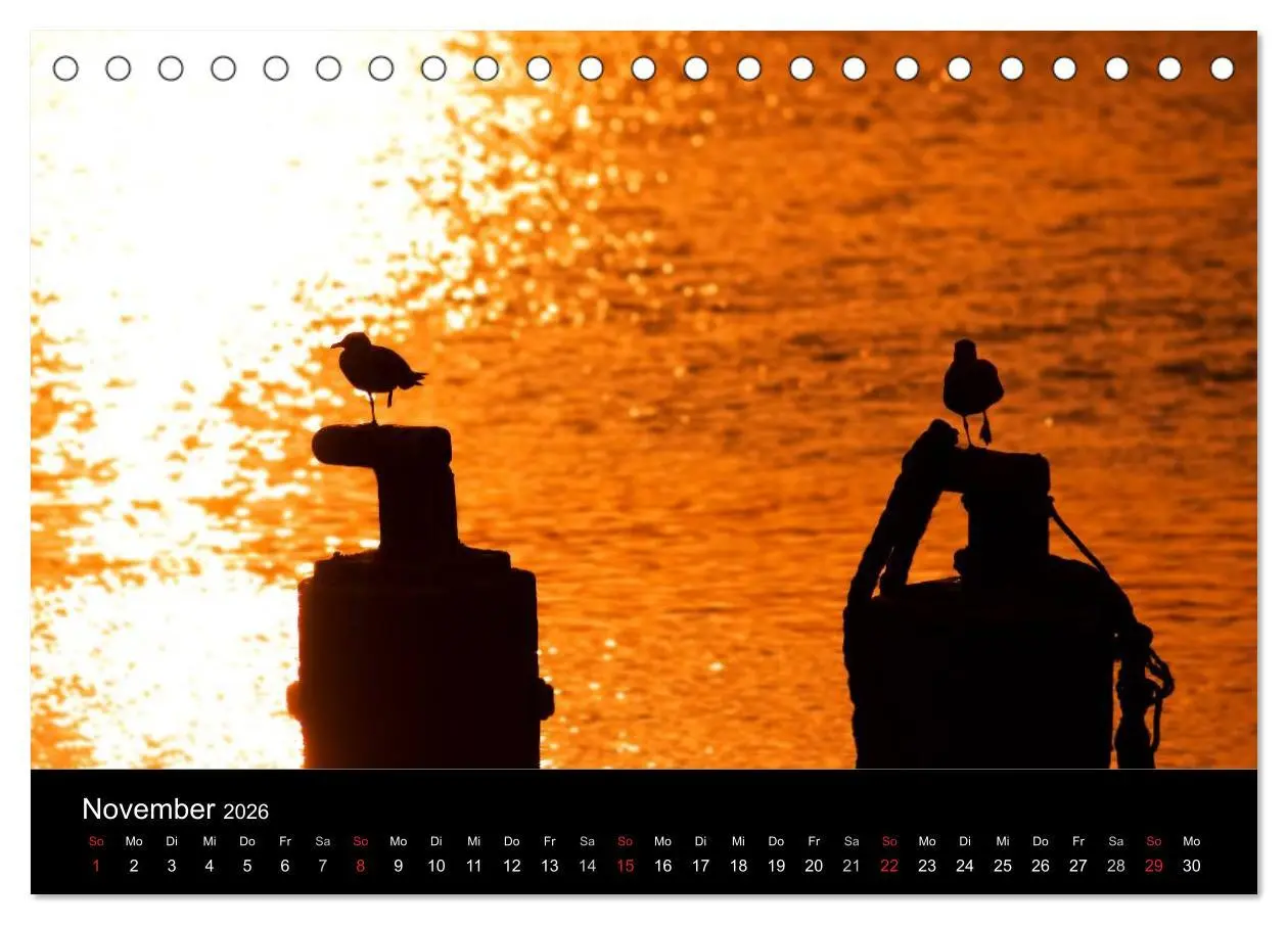 Bild: 9783516167665 | Dänemarks Nordseeküste (Tischkalender 2026 DIN A5 quer), CALVENDO...