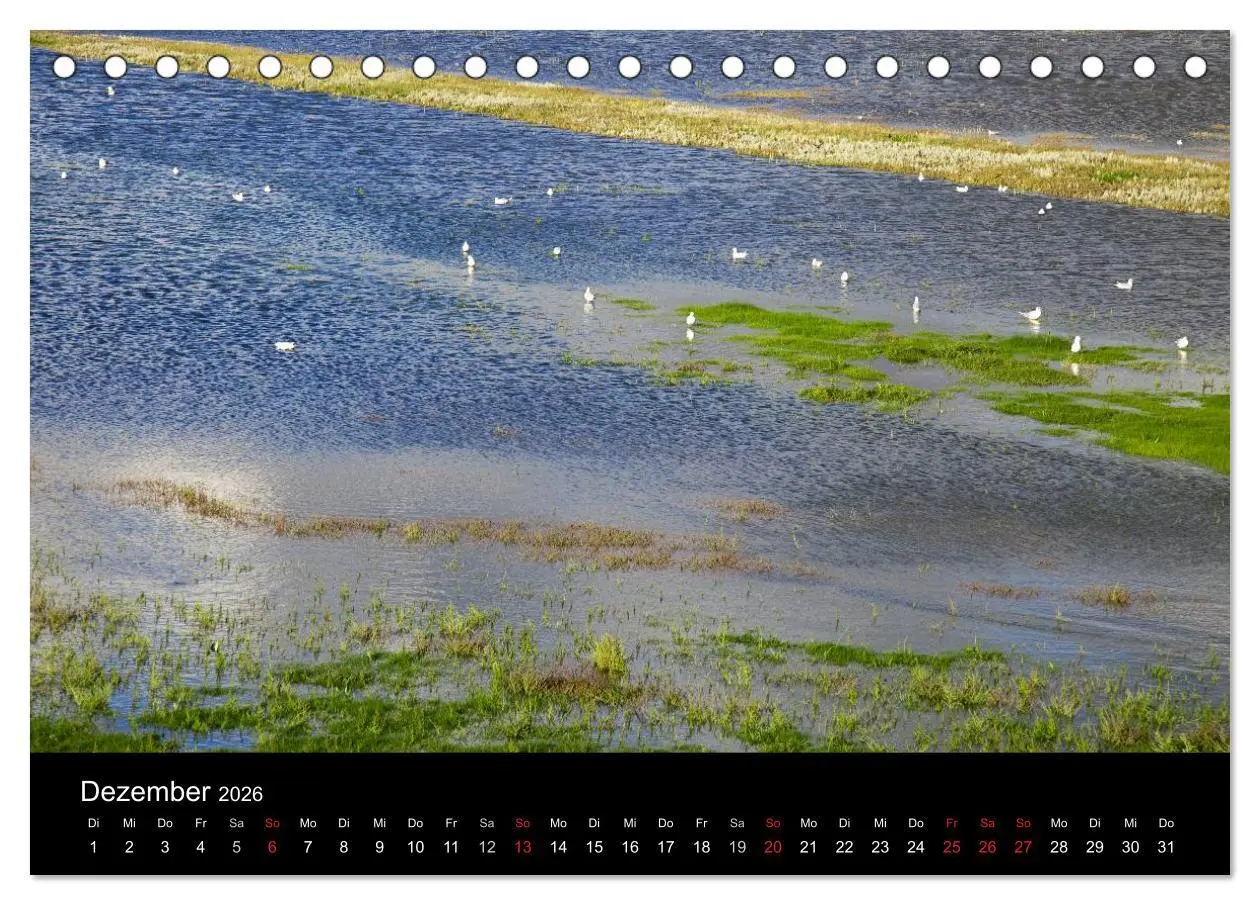 Bild: 9783516167665 | Dänemarks Nordseeküste (Tischkalender 2026 DIN A5 quer), CALVENDO...