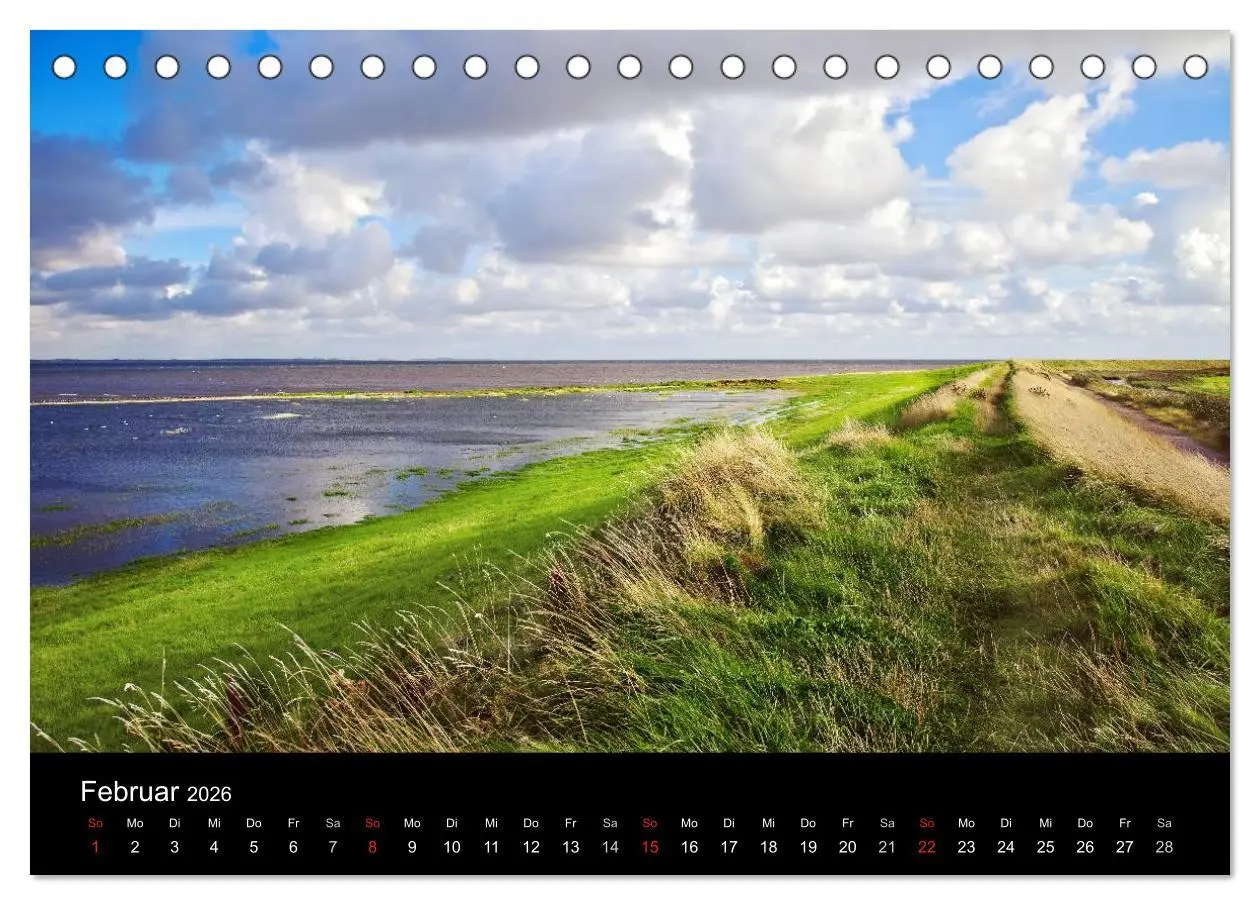 Bild: 9783516167665 | Dänemarks Nordseeküste (Tischkalender 2026 DIN A5 quer), CALVENDO...