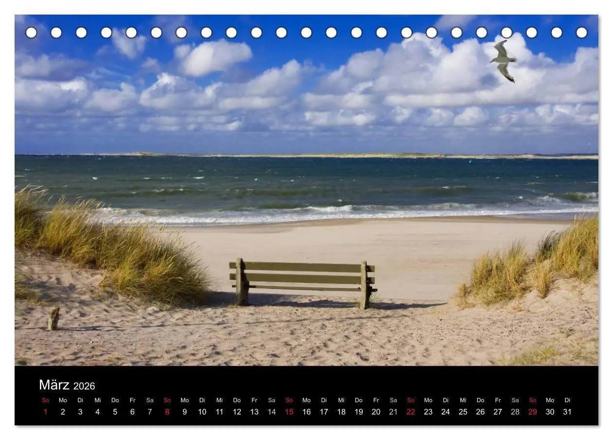 Bild: 9783516167665 | Dänemarks Nordseeküste (Tischkalender 2026 DIN A5 quer), CALVENDO...