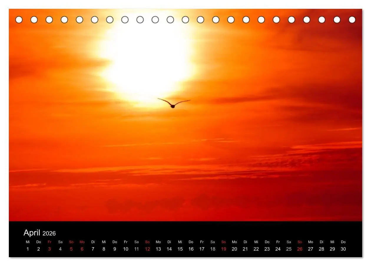 Bild: 9783516167665 | Dänemarks Nordseeküste (Tischkalender 2026 DIN A5 quer), CALVENDO...