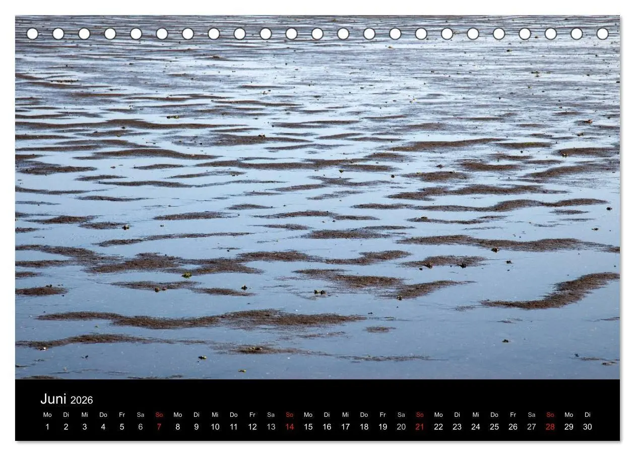 Bild: 9783516167665 | Dänemarks Nordseeküste (Tischkalender 2026 DIN A5 quer), CALVENDO...