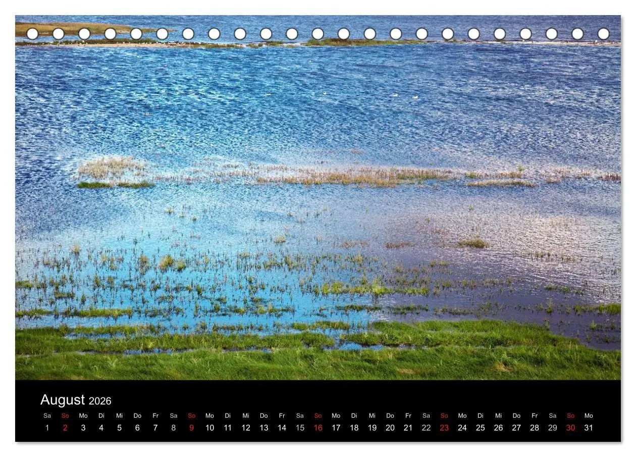 Bild: 9783516167665 | Dänemarks Nordseeküste (Tischkalender 2026 DIN A5 quer), CALVENDO...