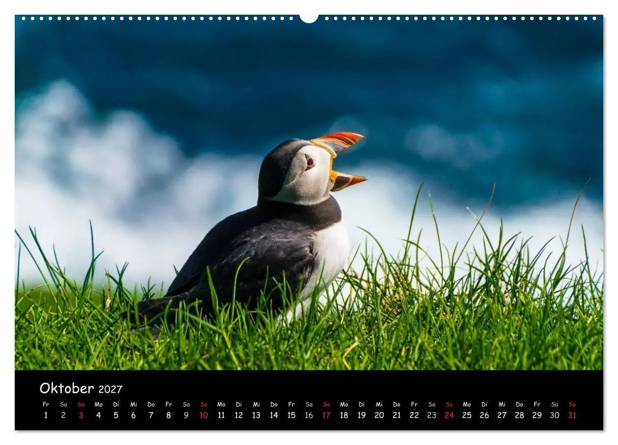 Bild: 9783569947665 | Die Papageientaucher von Mykines (hochwertiger Premium Wandkalender...