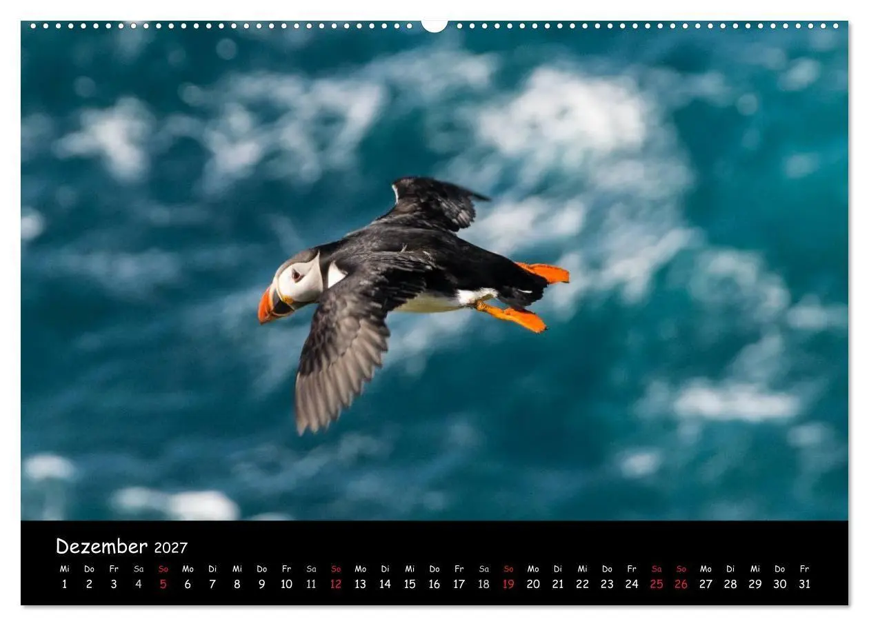 Bild: 9783569947665 | Die Papageientaucher von Mykines (hochwertiger Premium Wandkalender...
