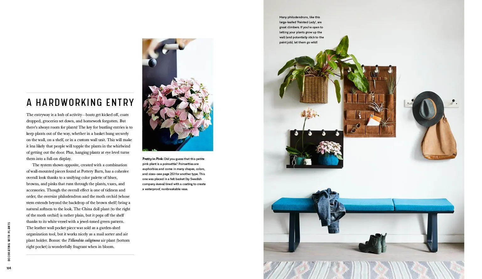 Bild: 9781579657765 | Decorating with Plants | Baylor Chapman | Buch | Gebunden | Englisch