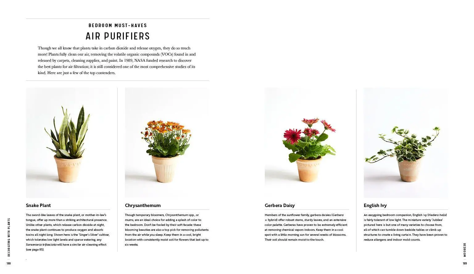 Bild: 9781579657765 | Decorating with Plants | Baylor Chapman | Buch | Gebunden | Englisch