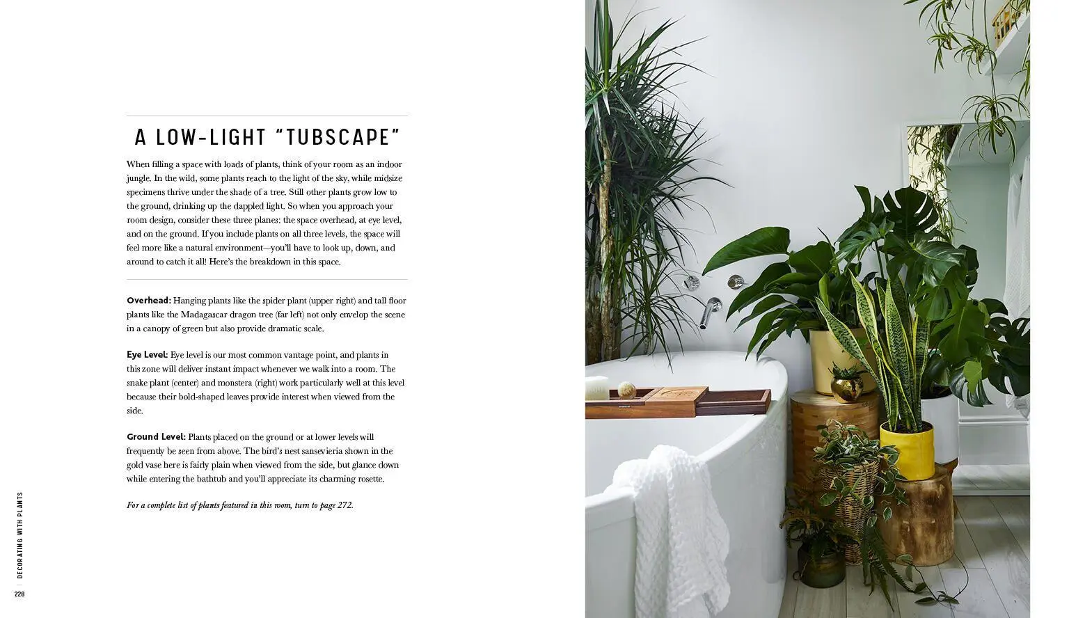 Bild: 9781579657765 | Decorating with Plants | Baylor Chapman | Buch | Gebunden | Englisch