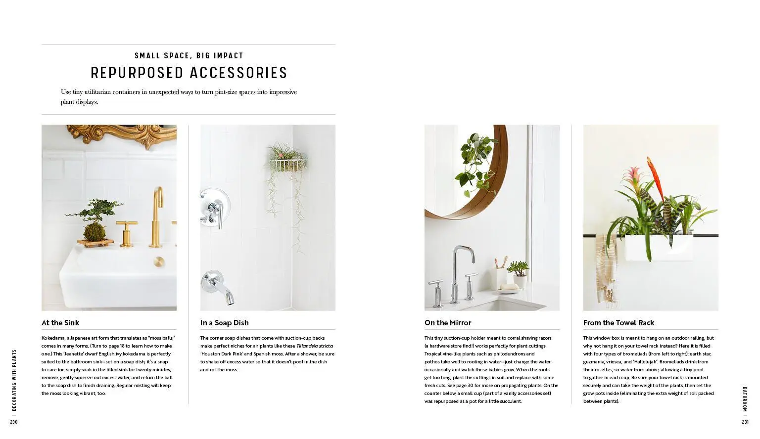 Bild: 9781579657765 | Decorating with Plants | Baylor Chapman | Buch | Gebunden | Englisch
