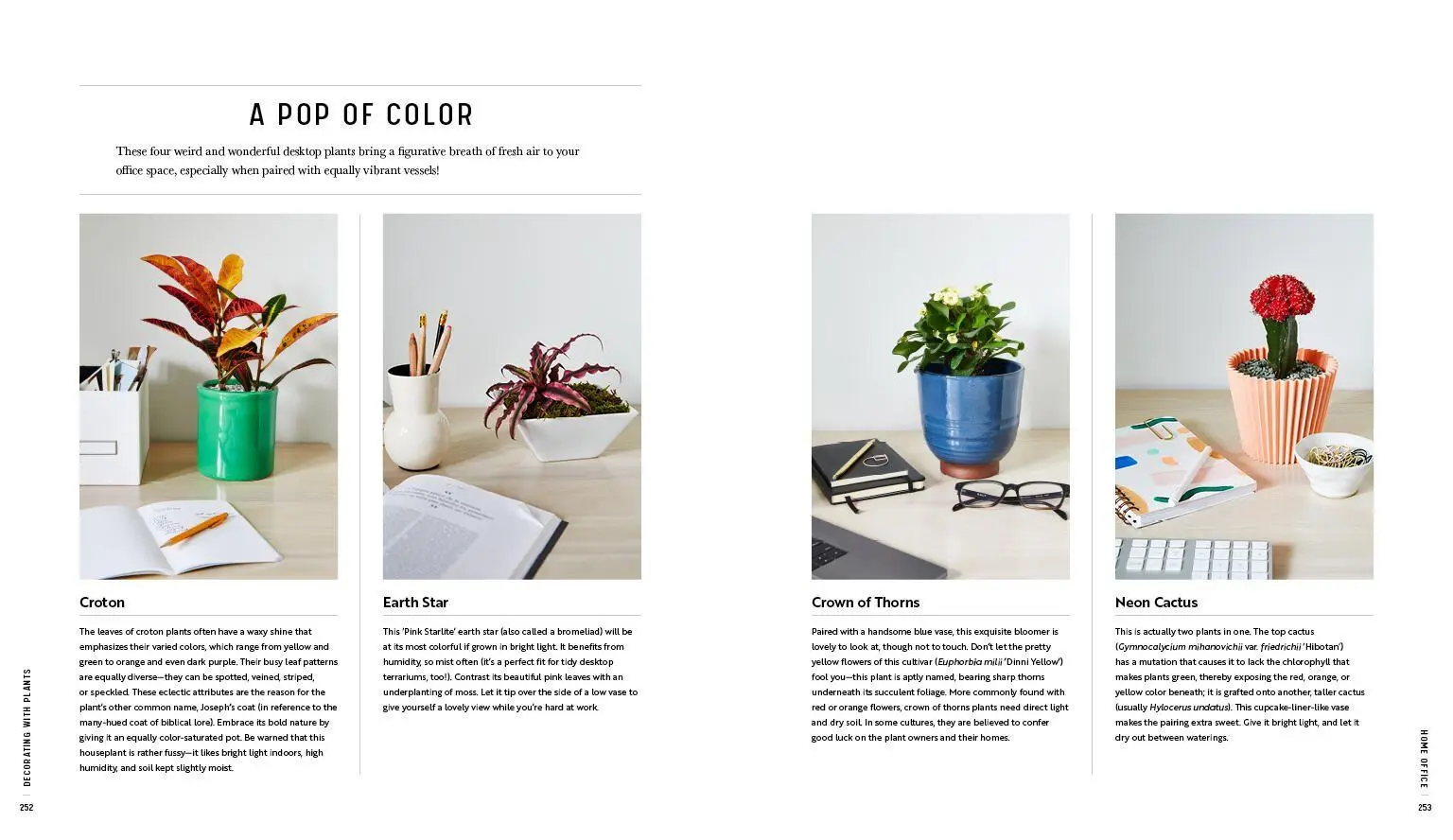 Bild: 9781579657765 | Decorating with Plants | Baylor Chapman | Buch | Gebunden | Englisch