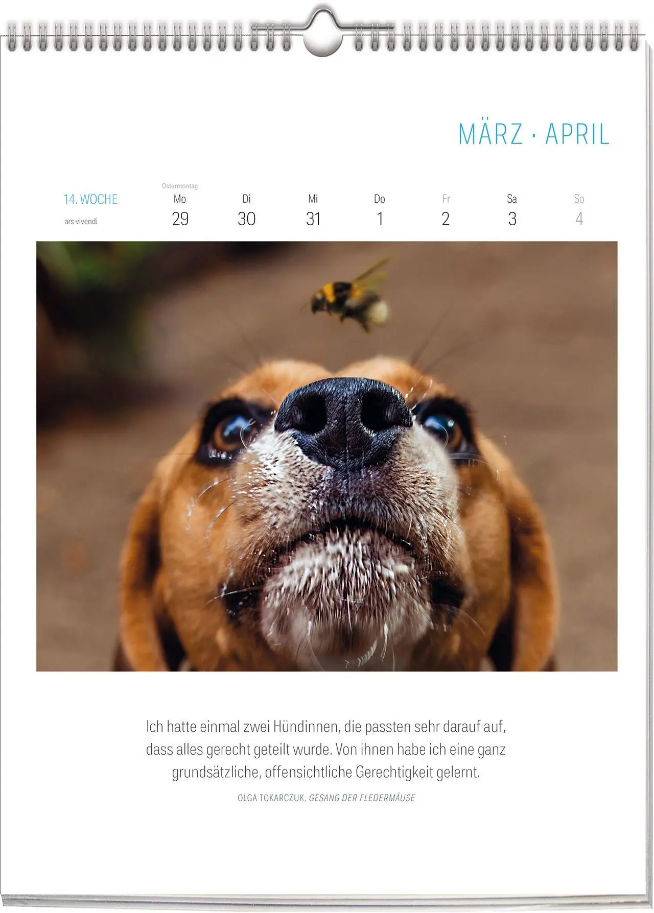 Bild: 9783747207765 | Literarischer Hunde Kalender 2027 | Wochenkalender | Vivendi Ars