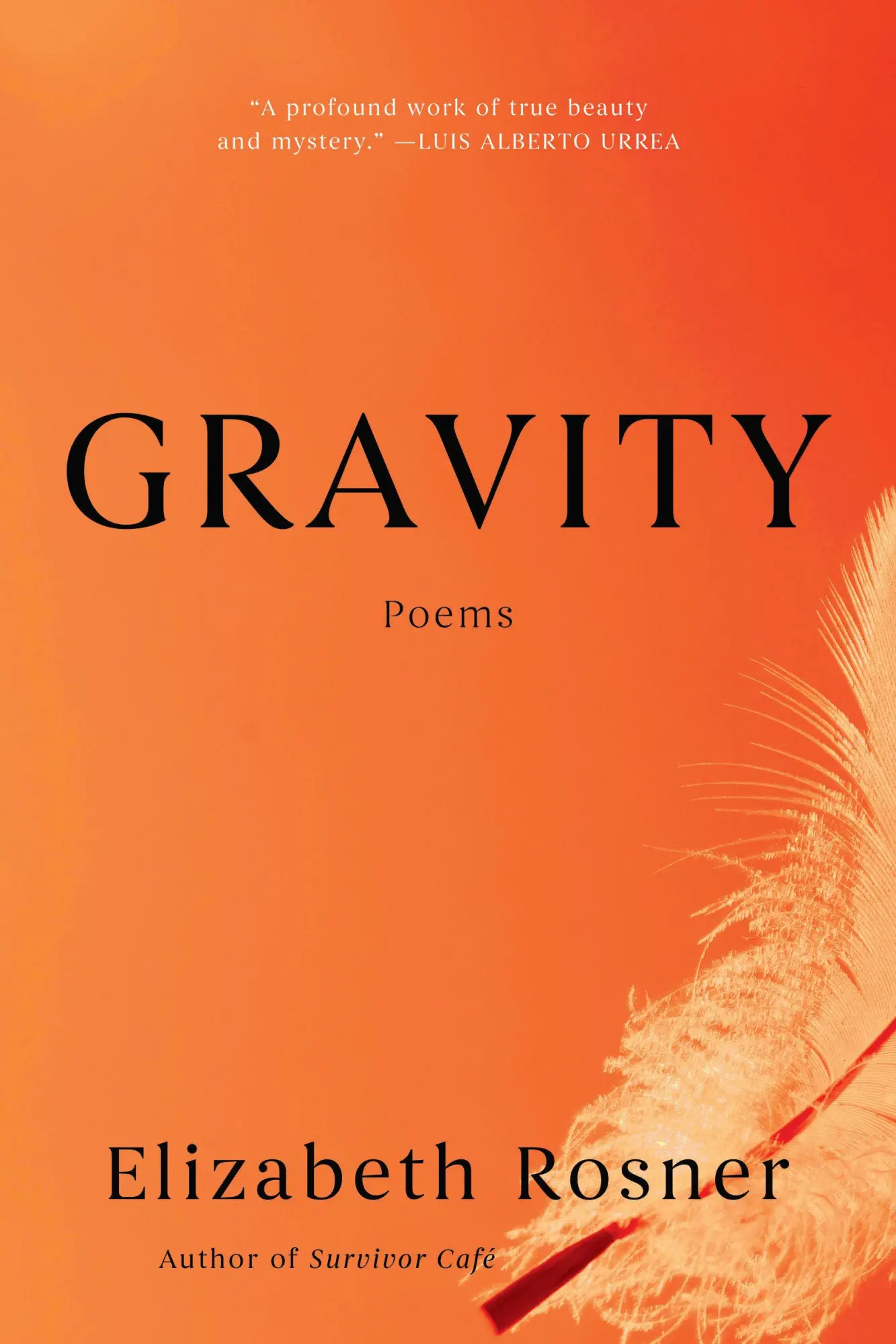 Cover: 9781640097865 | Gravity | Poems | Elizabeth Rosner | Taschenbuch | Englisch | 2026
