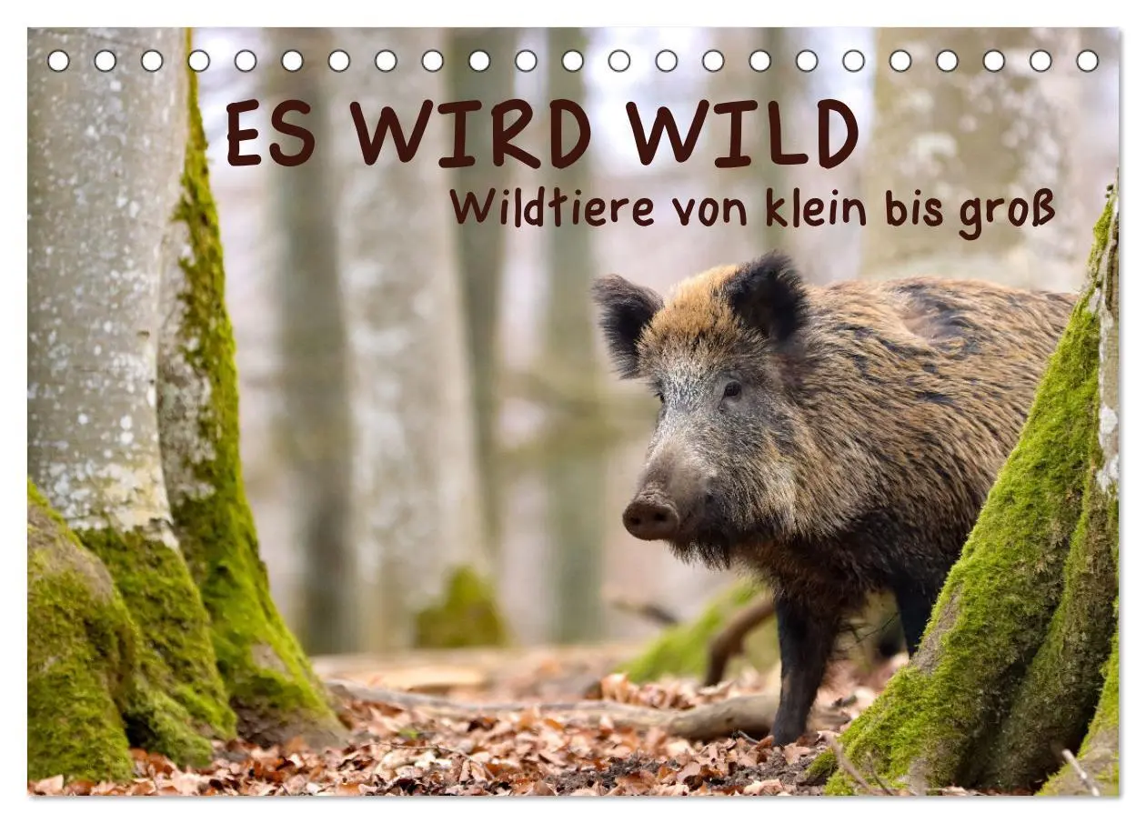 Cover: 9783457437865 | ES WIRD WILD Wildtiere von klein bis groß (Tischkalender 2026 DIN...