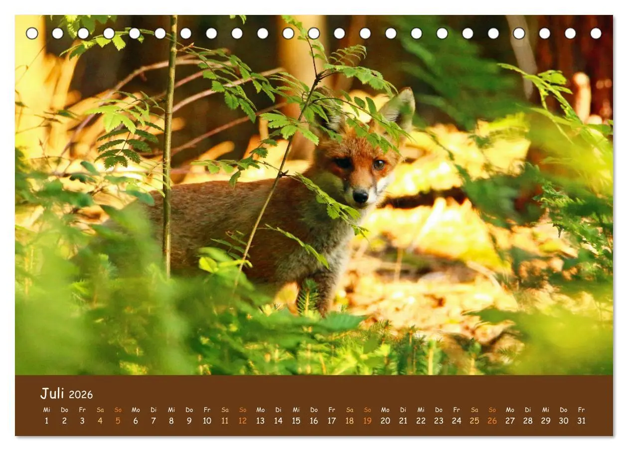 Bild: 9783457437865 | ES WIRD WILD Wildtiere von klein bis groß (Tischkalender 2026 DIN...