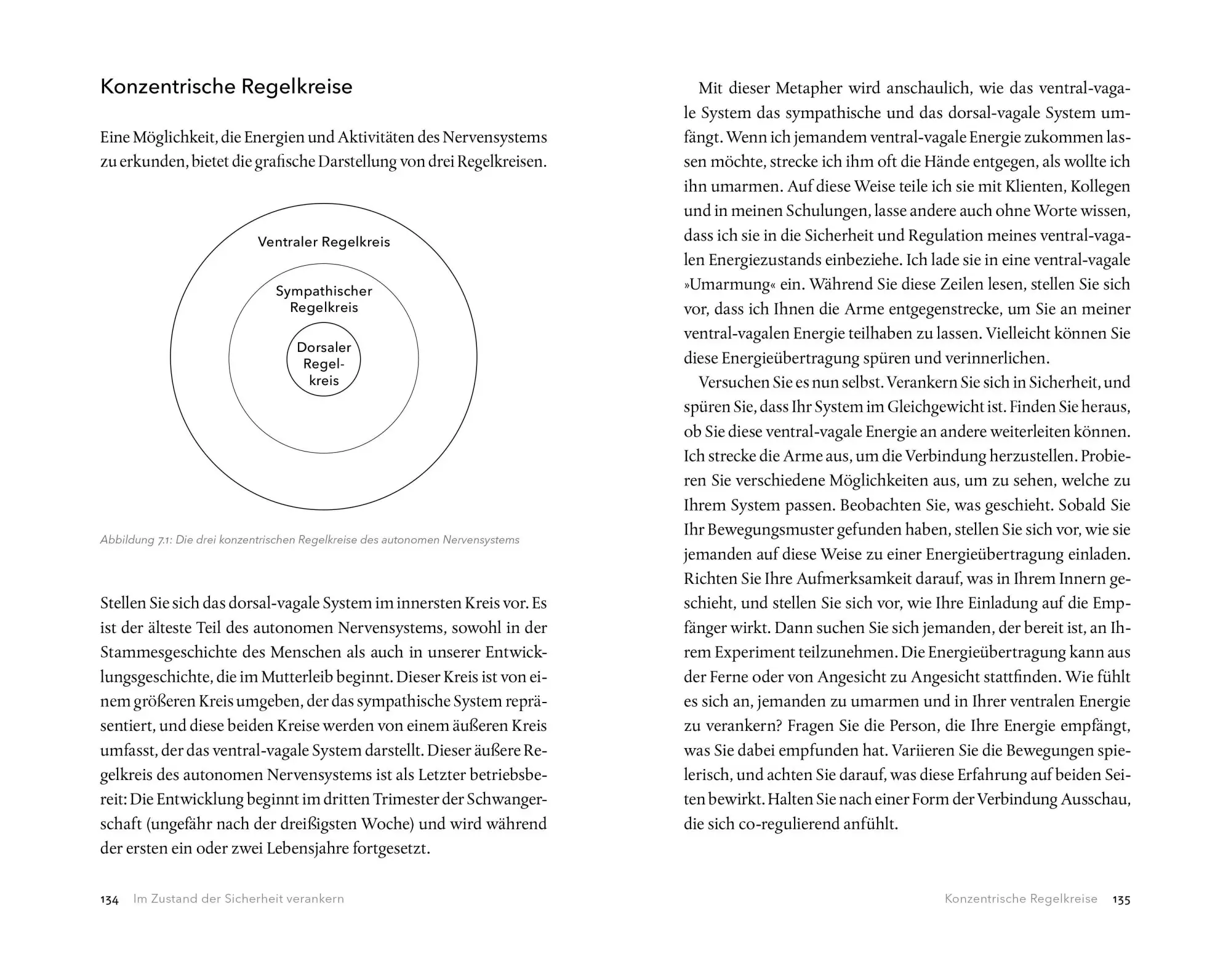 Bild: 9783466347865 | Der Vagus-Nerv als innerer Anker | Deb Dana | Taschenbuch | 272 S.
